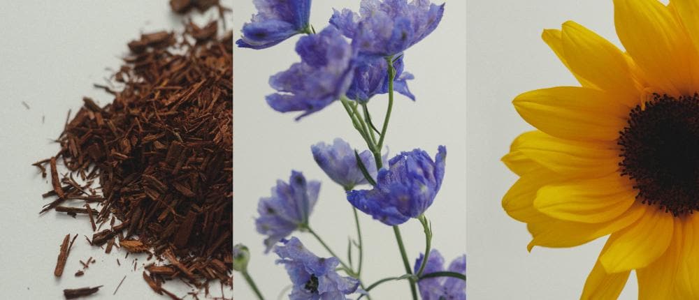 ADAM ET ROPÉとSDGs ーBOTANICAL DYED SUMMER DRESSー | J'aDoRe