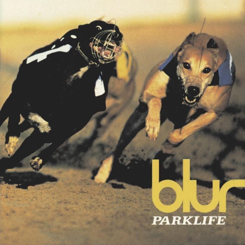 Blur for BIOTOP Photo T-shirt | J'aDoRe JUN ONLINE