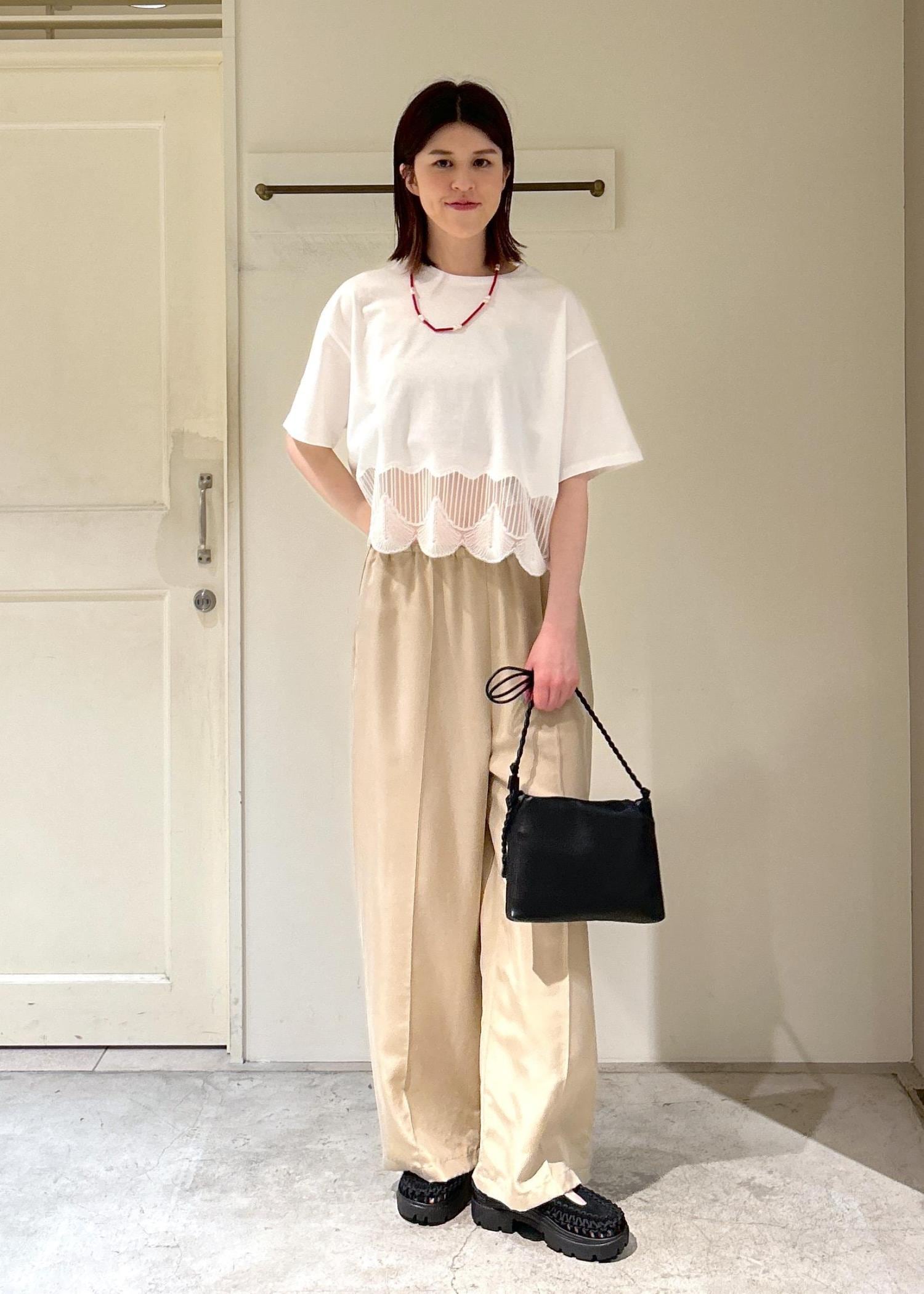 サロンアダムエロペ　シェルスカラップTシャツ 楽天市場】シェルスカラップTシャツ SALON adam et rope' サロン