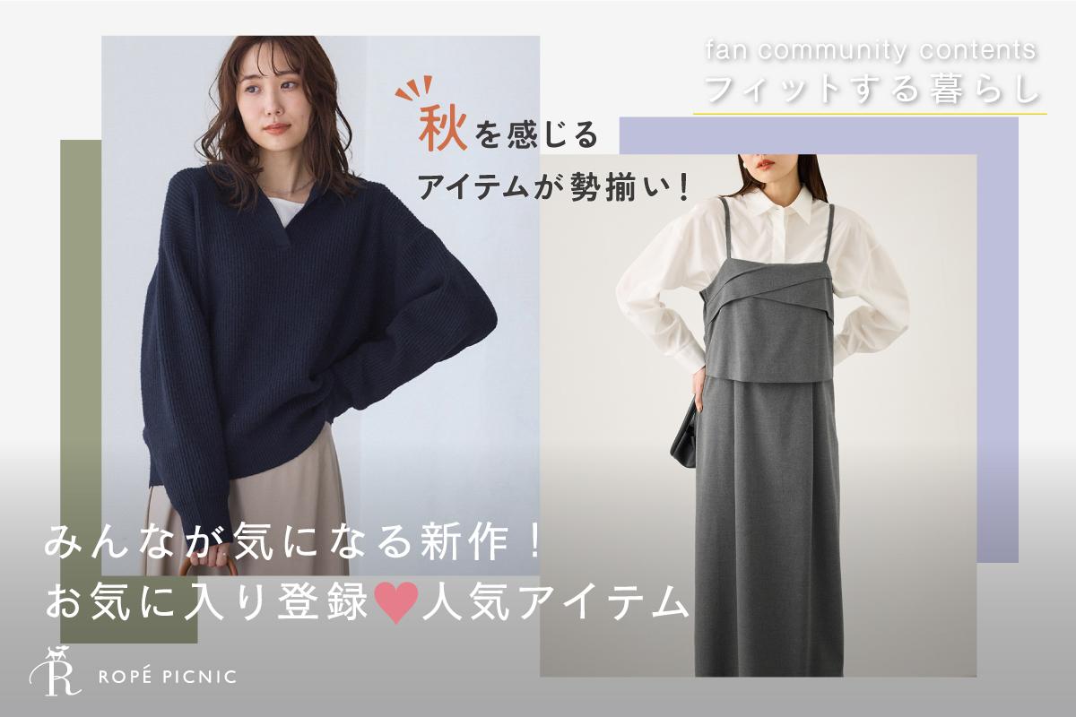 Look_at_John様 リクエスト レコード2点 まとめ商品 rex0220 更新確認プラグイン Ver.7 | rex0220