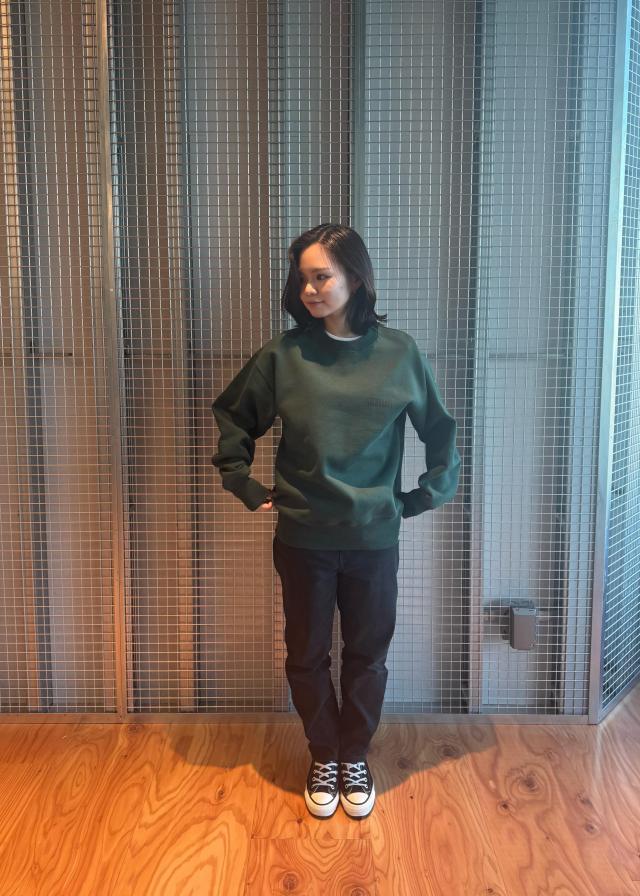 スタイリングタイトル