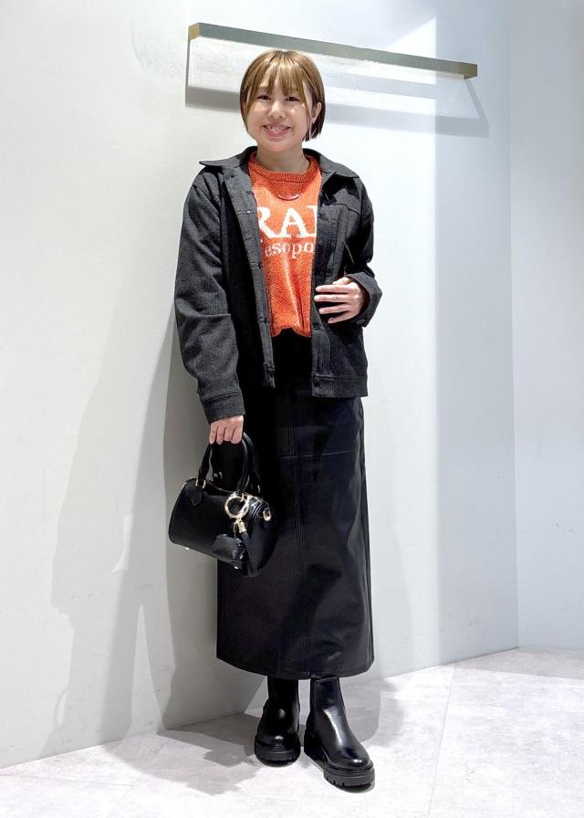 スタイリングタイトル