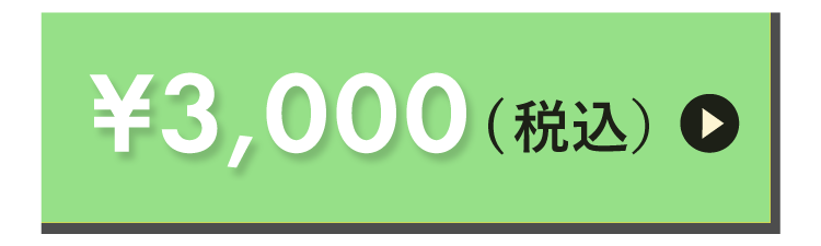 3000円