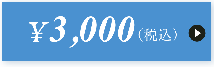 3000円